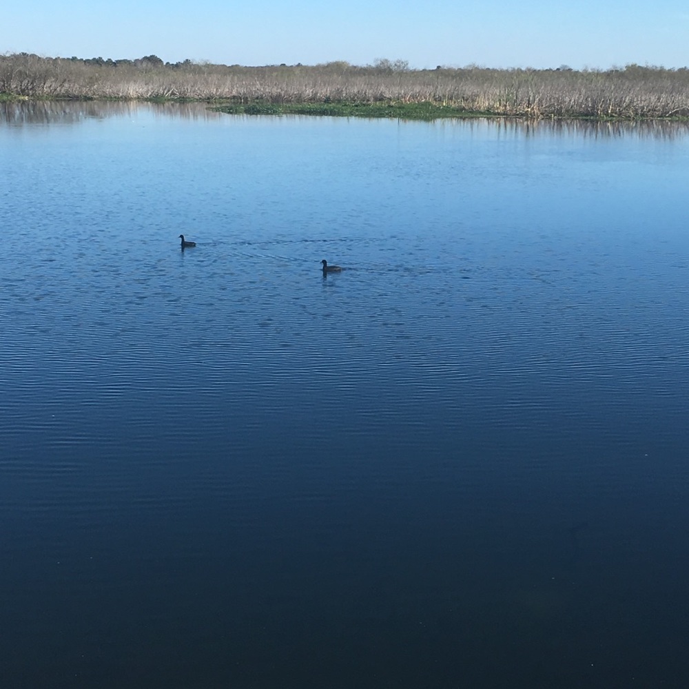 Meet your Posher, Amiee